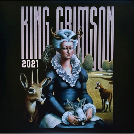 King Crimson - Music Is Our Friend: Live In Washington And Alban...