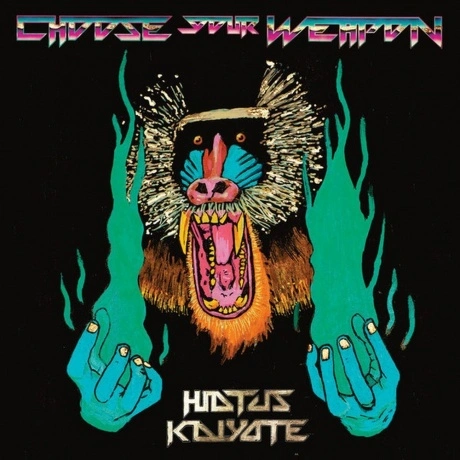 Hiatus Kaiyote - Choose Your Weapon (Coloured) (5054429152562) в...