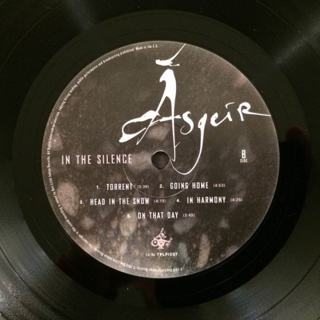 Asgeir - In The Silence (5016958164461) виниловая пластинка - фото 4