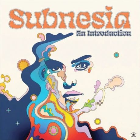 Subnesia - An Introduction (0784987078541) виниловая пластинка - фото 1