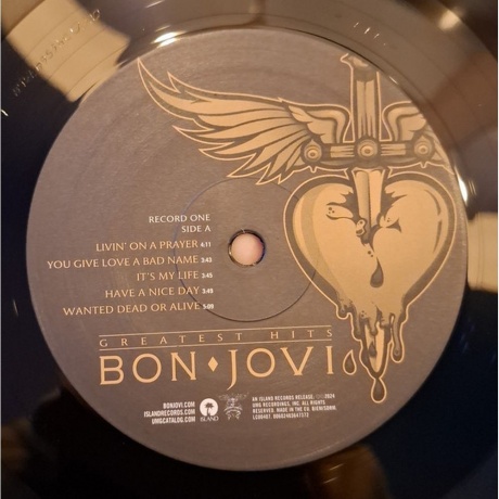 Bon Jovi - Greatest Hits (0602465647358) виниловая пластинка - фото 3