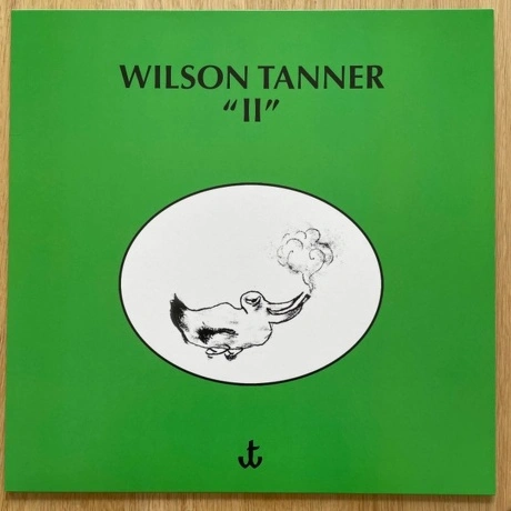 Wilson Tanner - Ii (0193483853406) виниловая пластинка