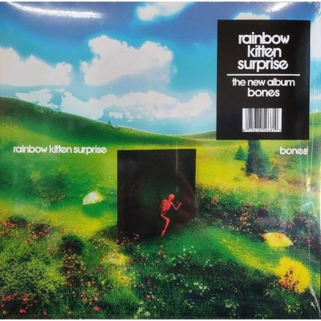 Rainbow Kitten Surprise - Bones (0075678596810) виниловая пласти...