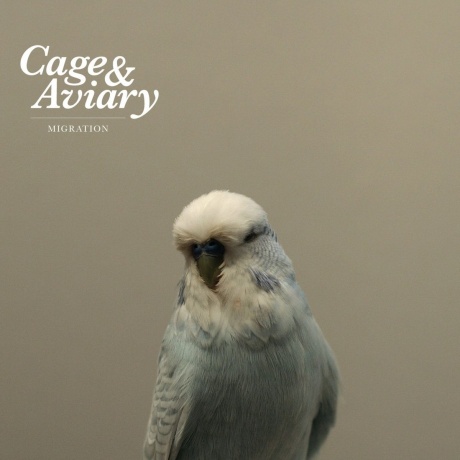 Cage &amp; Aviary - Migration (0827170399068) виниловая пластинка - фото 1