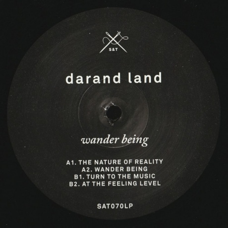 Darand Land - Wander Being (4250382452874) виниловая пластинка - фото 4