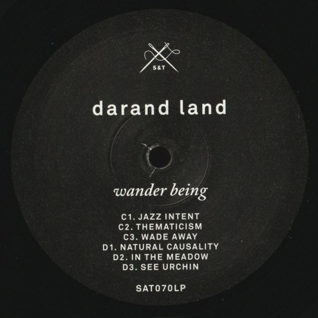 Darand Land - Wander Being (4250382452874) виниловая пластинка - фото 6