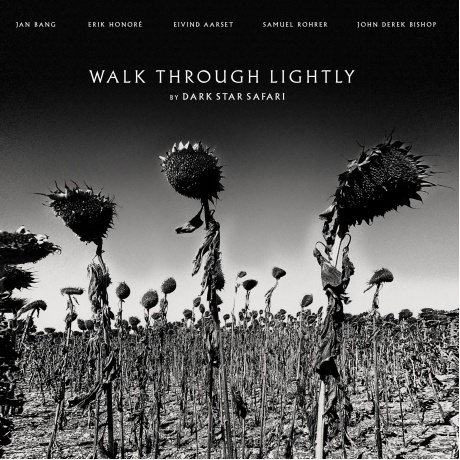 Dark Star Safari - Walk Through Lightly (4250101425806) виниловая пластинка - фото 1