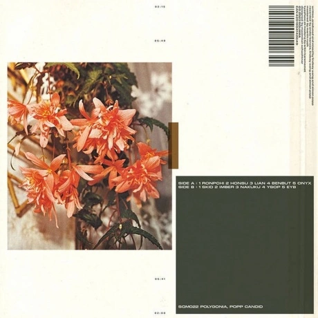 Polygonia; Popp - Candid (4251804142649) виниловая пластинка