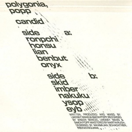 Polygonia; Popp - Candid (4251804142649) виниловая пластинка - фото 2
