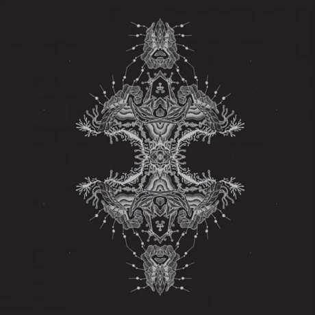 Pfirter - Altered States (4251804127936) виниловая пластинка