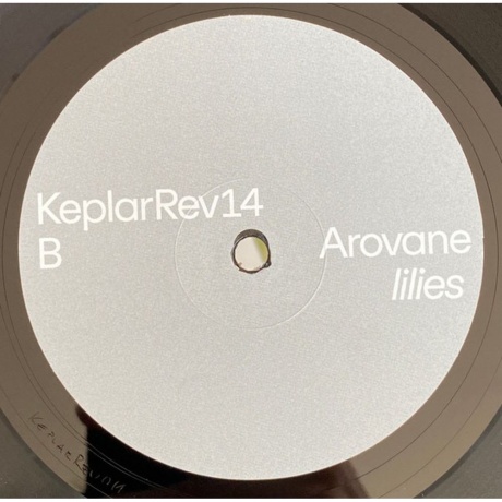 Arovane - Lilies (0880918257839) виниловая пластинка - фото 4