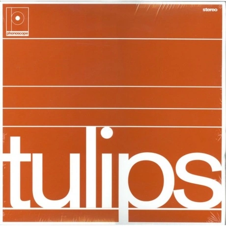 Maston - Tulips (4251648417910) виниловая пластинка