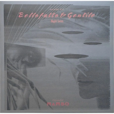 Bellofatto & Gentile - Night Swim (4251804138277) виниловая плас...