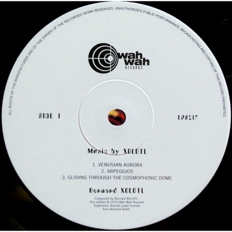 Bernard Xolotl - Music By Xolotl (4040824088521) виниловая пластинка - фото 5
