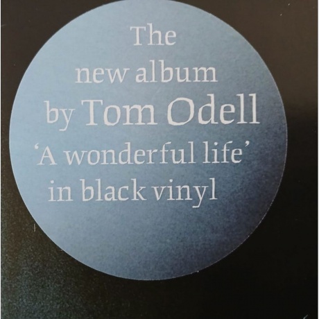 Tom Odell - A Wonderful Life (0198704451652) виниловая пластинка - фото 7