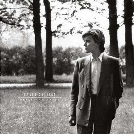 David Sylvian - Brilliant Trees (Coloured) (5400863176280) виниловая пластинка - фото 1