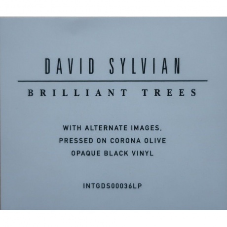 David Sylvian - Brilliant Trees (Coloured) (5400863176280) виниловая пластинка - фото 4