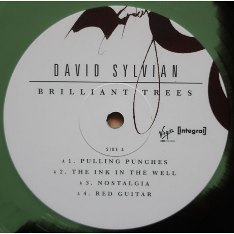 David Sylvian - Brilliant Trees (Coloured) (5400863176280) виниловая пластинка - фото 8