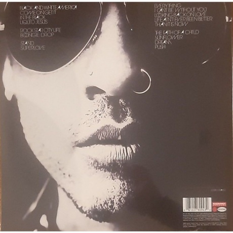 Lenny Kravitz - Black And White America (0081227809430) виниловая пластинка - фото 2