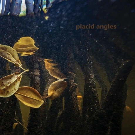 Placid Angles - Touch The Earth (4251804125147) виниловая пласти...
