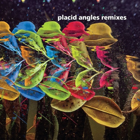 Placid Angles - Touch The Earth Remixes (4251804138192) виниловая пластинка - фото 1