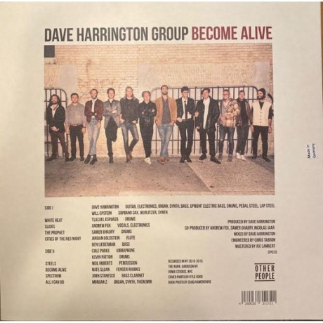 Dave Harrington - Become Alive (4260038311721) виниловая пластинка - фото 2