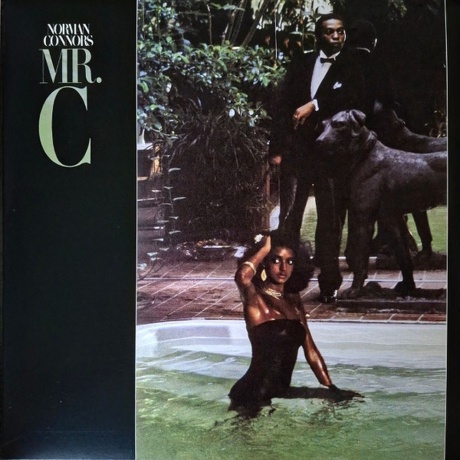 Norman Connors - Mr.C (4251804184649) виниловая пластинка - фото 1