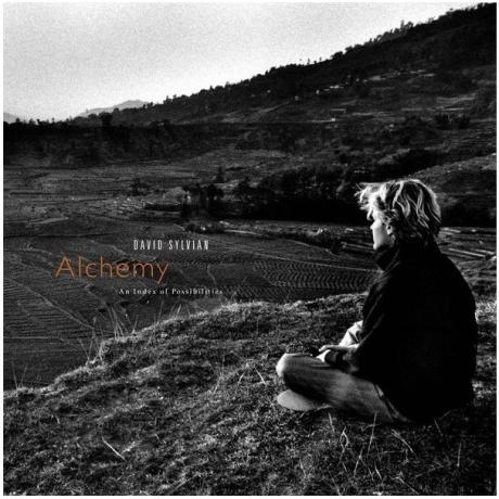 David Sylvian - Alchemy: An Index Of Possibilities (Gold) (54008...