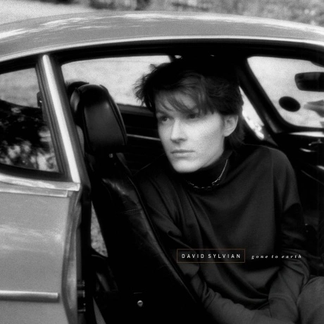David Sylvian - Gone To Earth (White, Brown, Black) (54008631763...