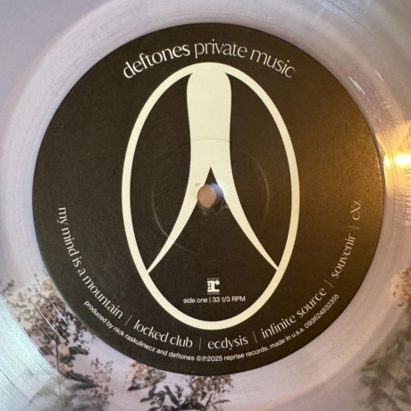 Deftones - Private Music (Clear) (0093624832355) виниловая пластинка - фото 6