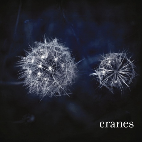 Cranes - Cranes (coloured) (8719262040748) виниловая пластинка - фото 1