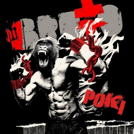 Brutto (Ляпис Трубецкой) - Roki (Black Vinyl) (4610297809291B) виниловая пластинка - фото 1