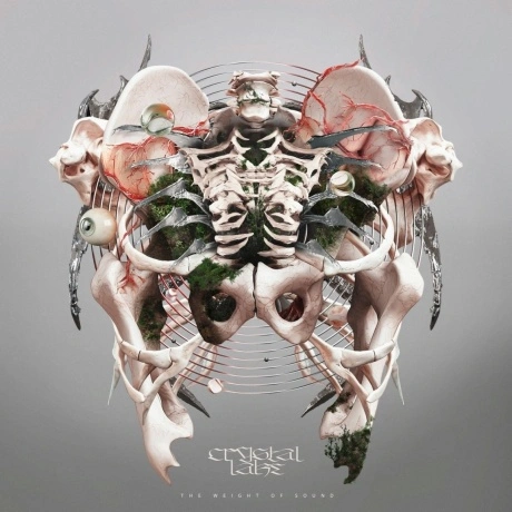 Crystal Lake - Weight Of Sound (Grey) (0198029130812) виниловая ...