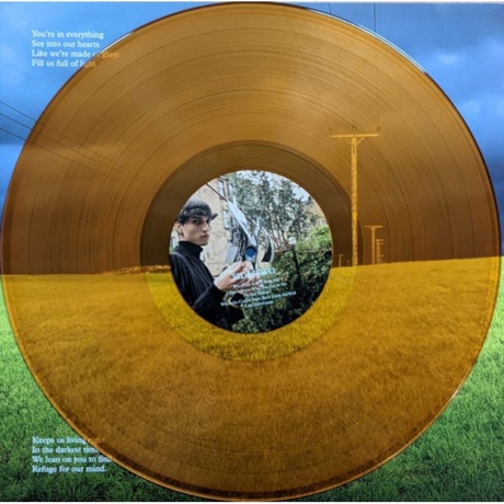 Belle &amp; Sebastian - Late Developers (Orange) (191401189606) виниловая пластинка - фото 4