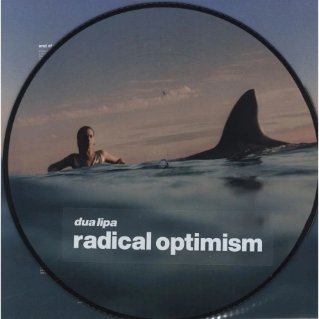 Dua Lipa - Radical Optimism (Picture) (5054197943454) виниловая ...