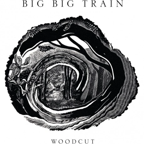 Big Big Train - Woodcut (0198029779318) виниловая пластинка
