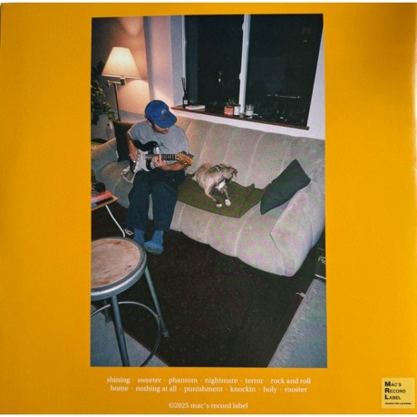 Mac DeMarco - Guitar (0198704399879) - фото 3