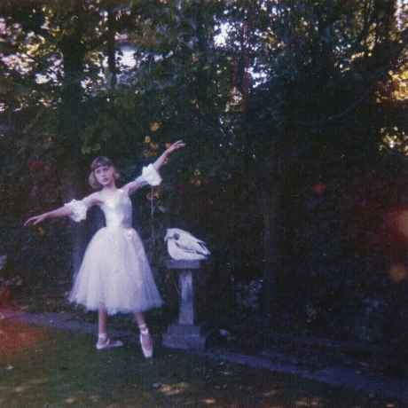 Wolf Alice - Visions Of A Life (5060257960965) виниловая пластин...