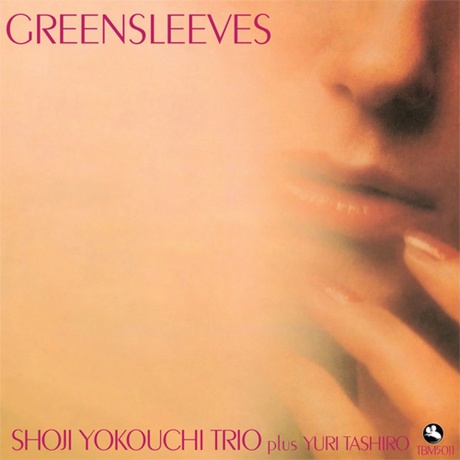 Shoji Yokouchi - Greensleeves (Analogue) (0856276002176) - фото 1