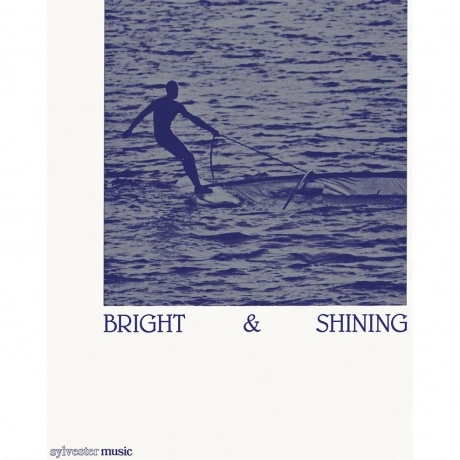 Barbara Moore - Bright And Shining (4251804187541) виниловая пла...