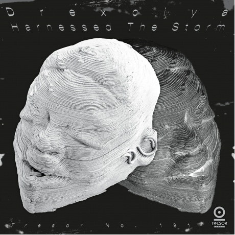 Drexciya - Harnessed The Storm (4251804135023) - фото 1