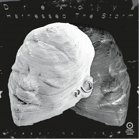 Drexciya - Harnessed The Storm (4251804135023) виниловая пластин...