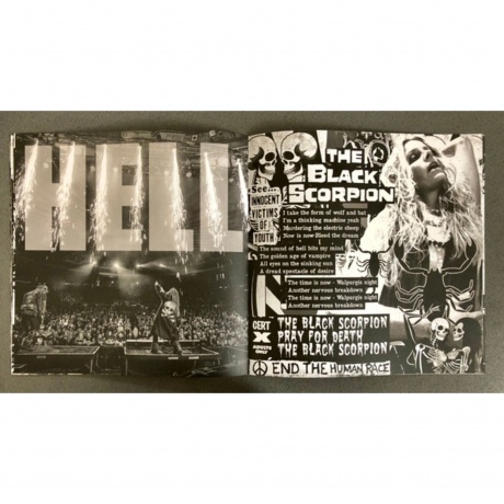 Rob Zombie - The Great Satan (coloured) (4065629753139) - фото 5