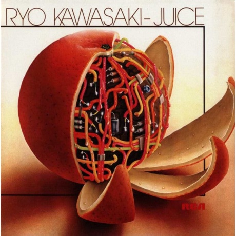 Ryo Kawasaki - Juice (7119691284316) - фото 1