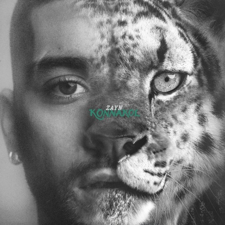 Zayn - Konnakol (Swimming Through Seas) (199957317047) - фото 1