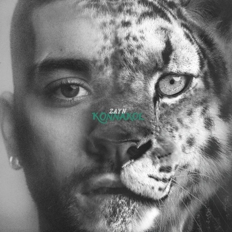 Zayn - Konnakol (Swimming Through Seas) (199957317047)