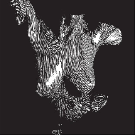 Oceansize - Self Preserved While The Bodies Float Up (0802644827...