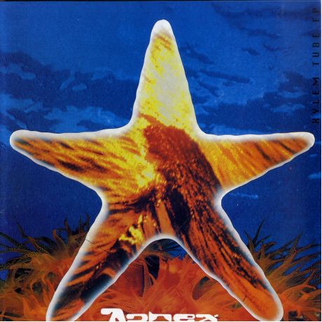 Aphex Twin - Xylem Tube (EP) (0199538225303) - фото 1