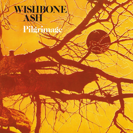 Wishbone Ash - Pilgrimage (0805520241250) - фото 1