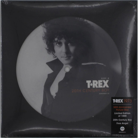T. Rex - 20th Century Boy (V7) (picture) (5014797909052) - фото 1